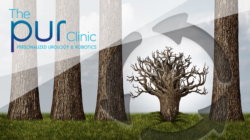 pur-clinic-vasectomy-reversal